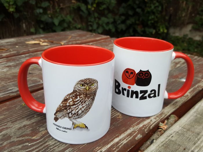 Tazas de Brinzal - Imagen 4